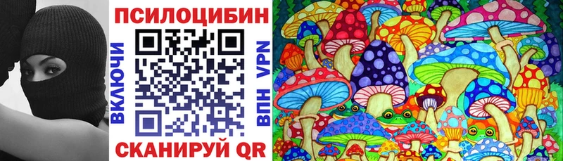 Галлюциногенные грибы Cubensis  Купить где  Игра 